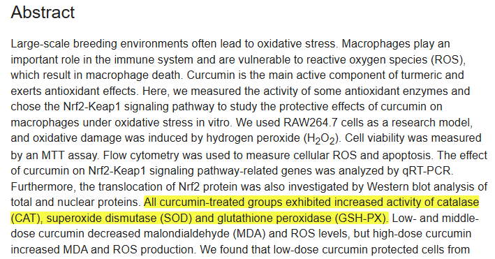 antioxidant properties of curcumin