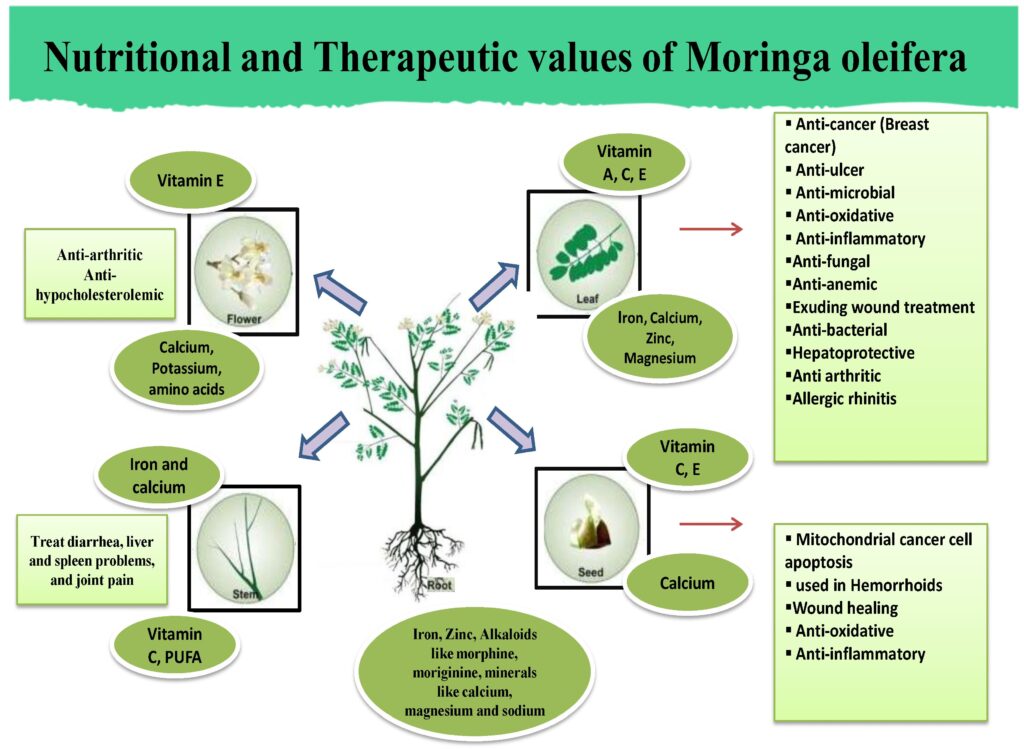 moringa benefits for women