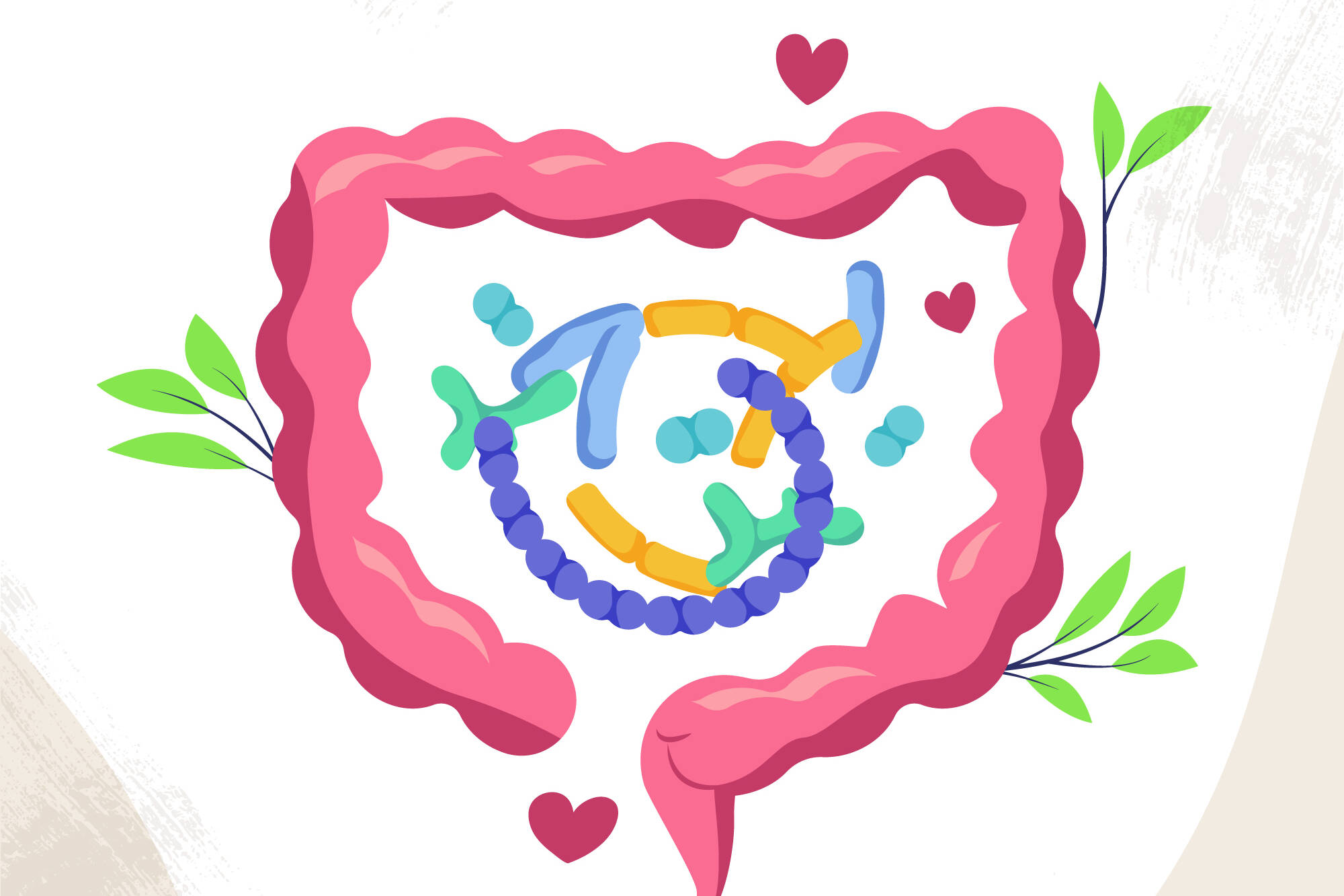 gut health improvement