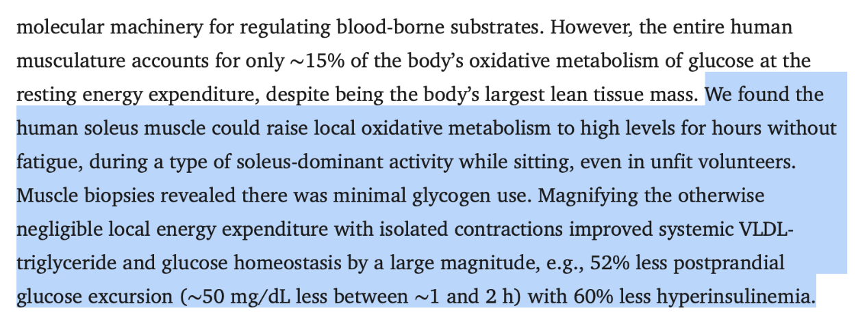 The Soleus Push Up: A Seated Blood Sugar Hack Backed by Science