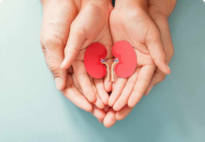 Kidney and Liver Support