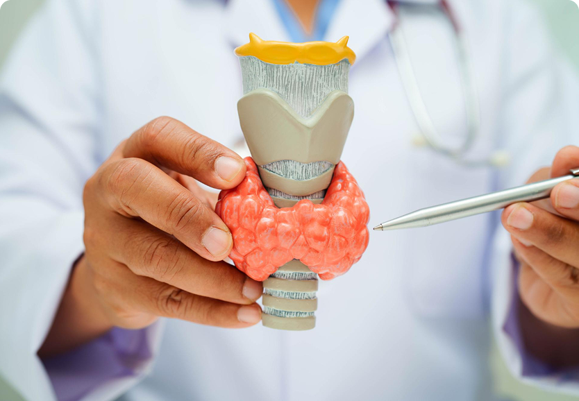 Thyroid Care