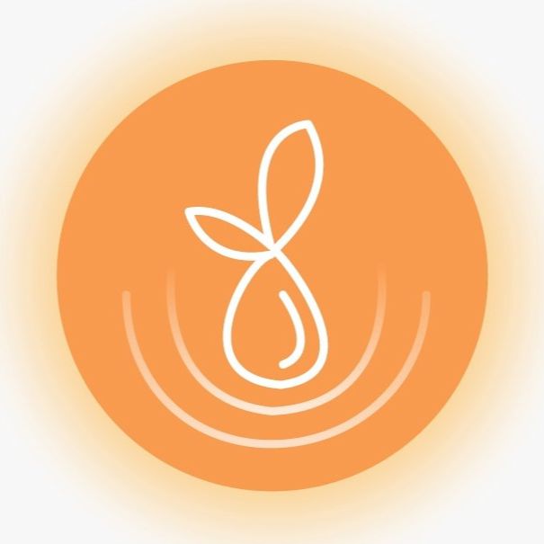 Daily habits taught in a diabetes lifestyle program